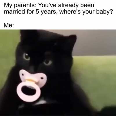 Cats are bae