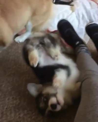 Maybe Maybe Maybe