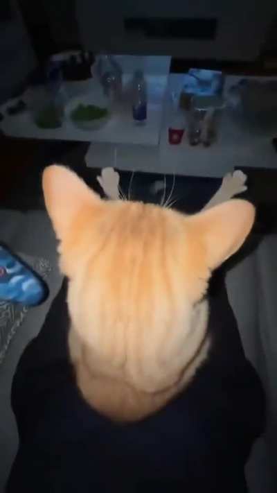 He likes to be included