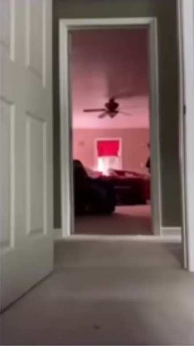 Little Person broke into a house…