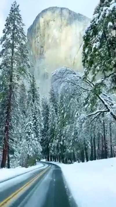 ? Yosemite National Park in Winter ?