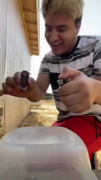 I don't think that was the..