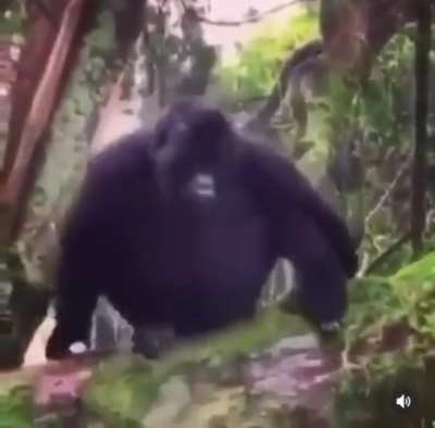 ?