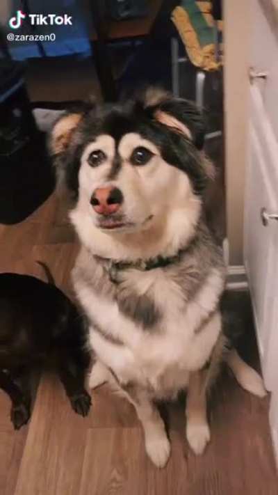 The eyes