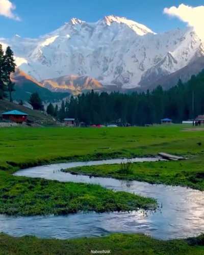 ? Fairy Meadows, Pakistan