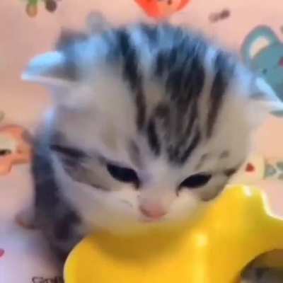 Awww that's so adorable ???