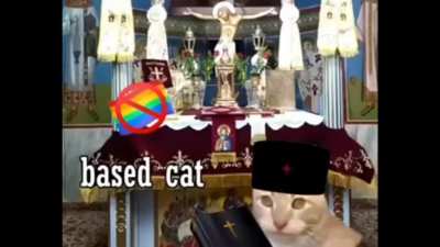 "Based Cat"