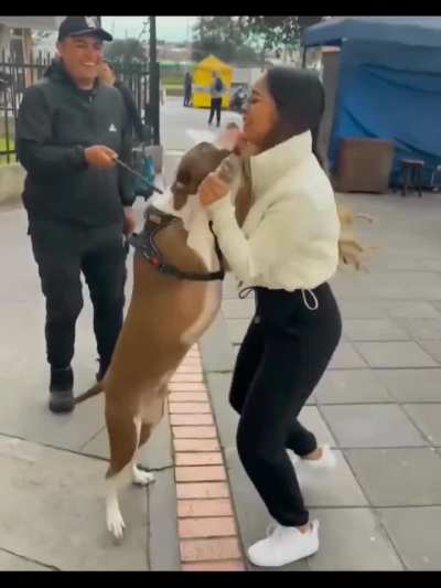 The dog didn't notice its owner at first, but once it realized, it got super excited to see her again after two years.