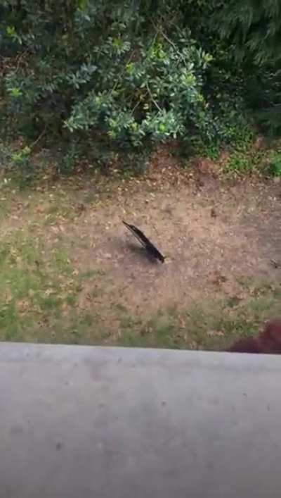 to break a TV