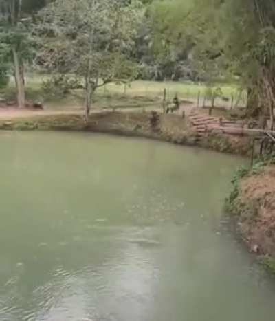 Swing
