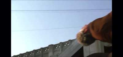 Footage from outside the Whitehouse today!!