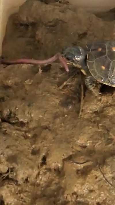Lil’ Homie gets taken down...