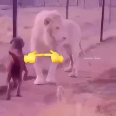 ??