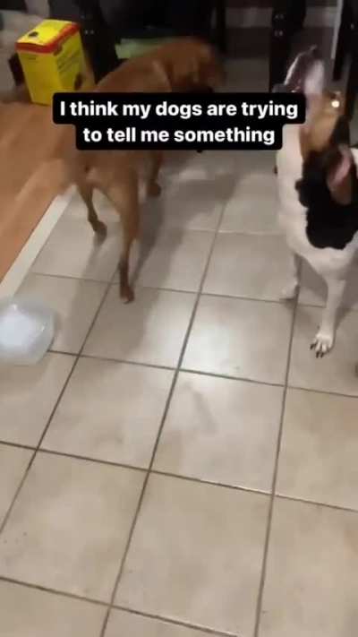 Smells Delicious