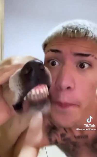 What did I just watch