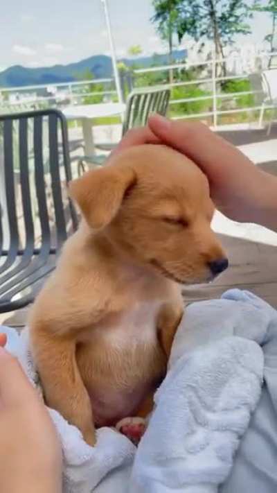 Falling asleep
