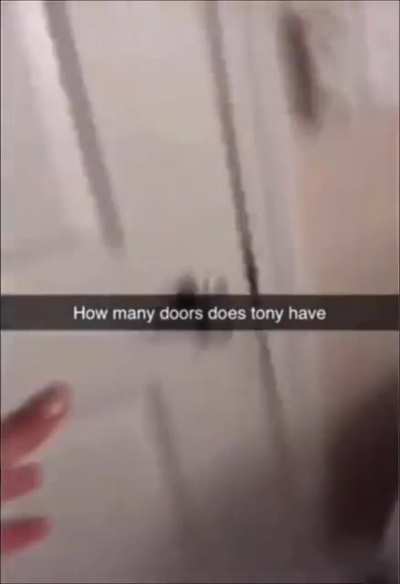Tony, master of doors and creator of universes