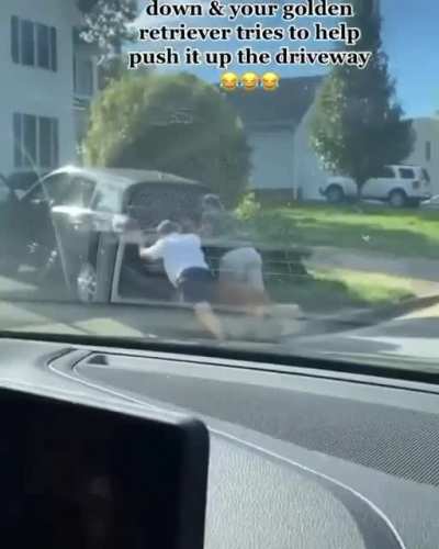 Helping out ??