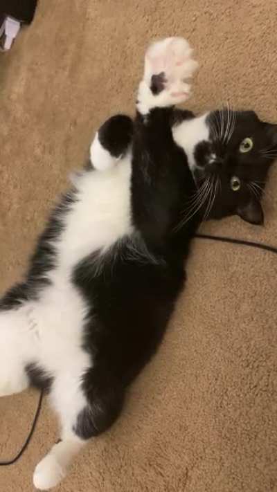 Pet me like this ?