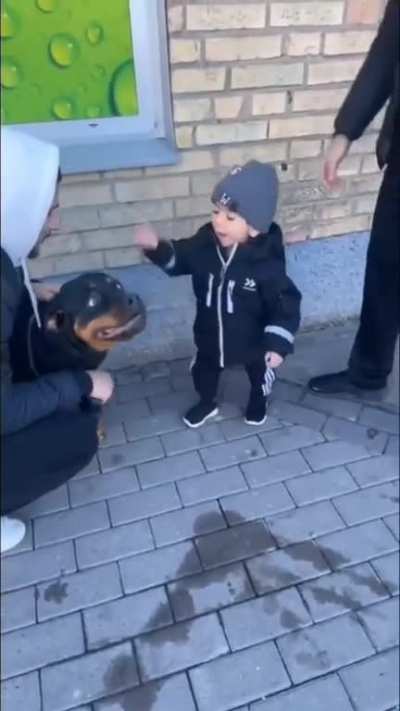 Awesome parenting ?