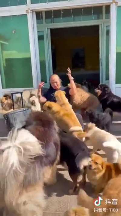 This is Er Niu, he runs a shelter for nearly 100 dogs in Beijing suburbs. His dogs are so happy everytime he's back home
