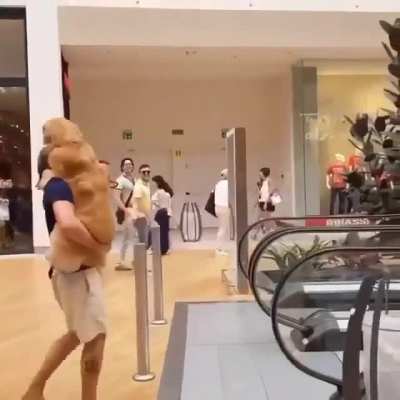 Carry me Hooman