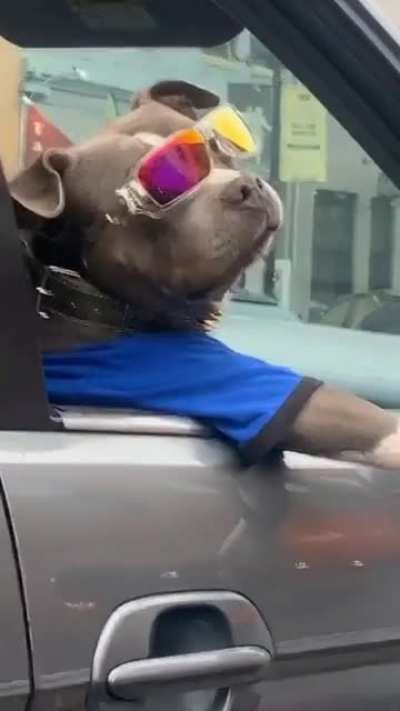 Hey Boy What's Up