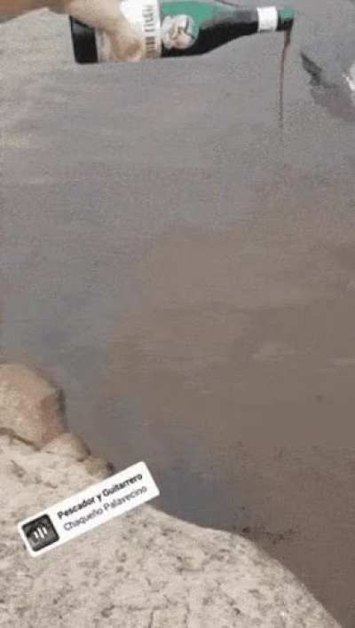 Fishing with wine