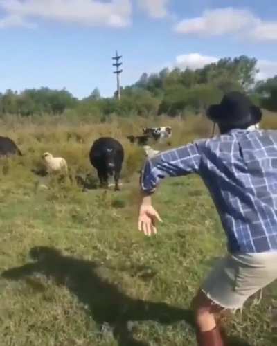 Maybe maybe maybe