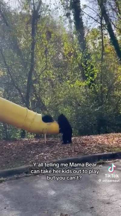 Mama bear taking the kids to the playground ?