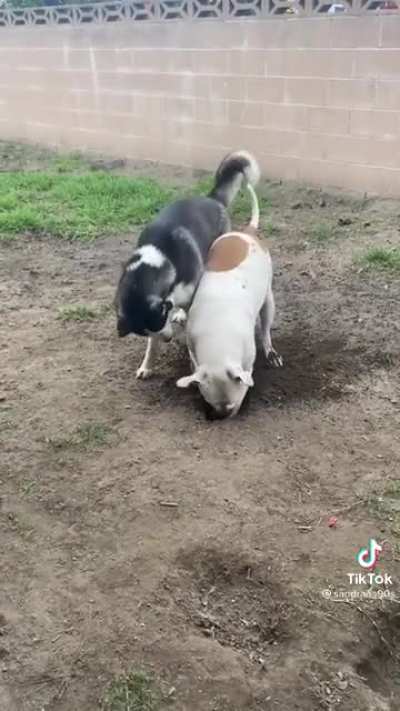 "I tried to warn you buddy.."