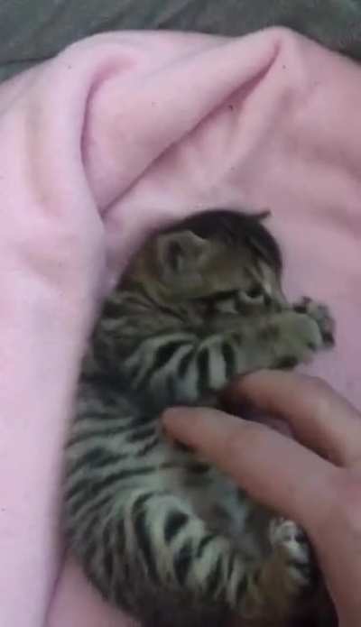 You’ll need this when you wake up