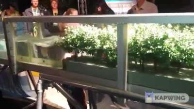 ? ?An experiment demonstrating how mangroves protect coastlines. Other habitats such as coral reefs and kelp forests also provide a similar function. ? ?