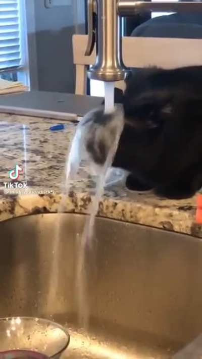10/10 for trying!