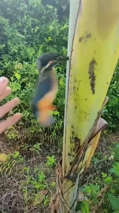 Maybe maybe maybe