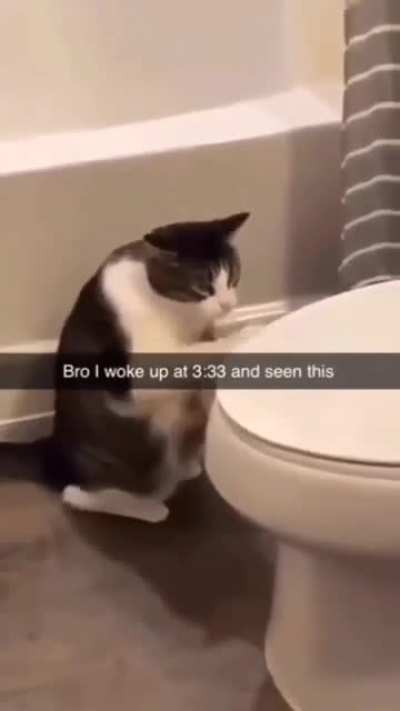 Vibeh Vibeh