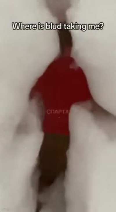 WTF