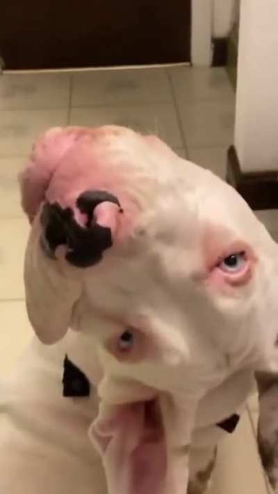 Watcha say?