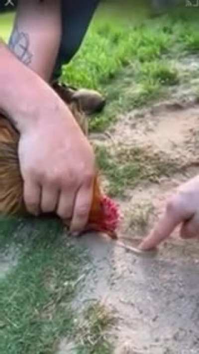 Maybe Maybe Maybe