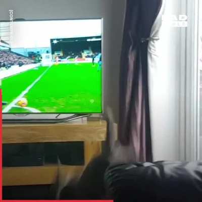 Where is the ball⚽⚽ ????
