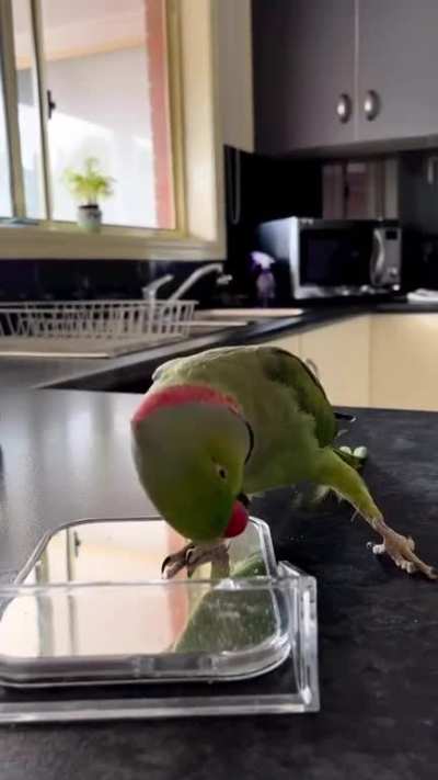 To play peek-a-boo