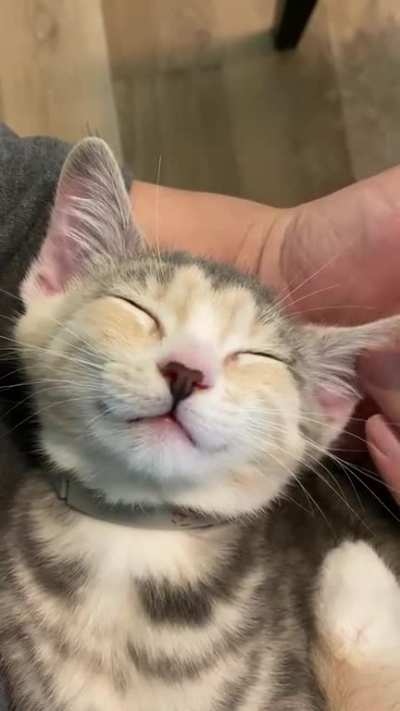 ??