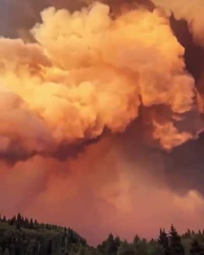24.7 million acres of land has been burned in Canada. 504 fires are deemed out of control.