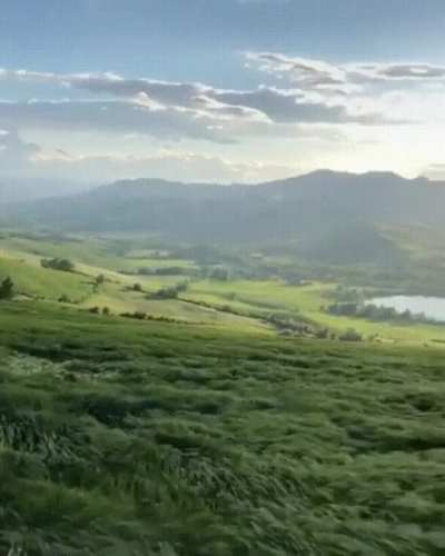 ? The wind makes a grassy hillside in Italy look like an ocean.