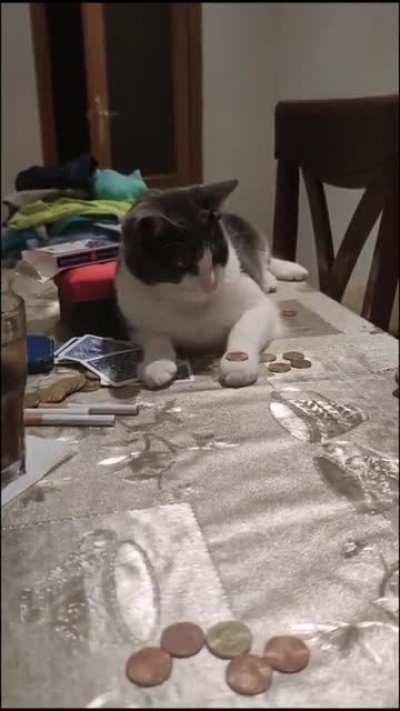 Trick slap