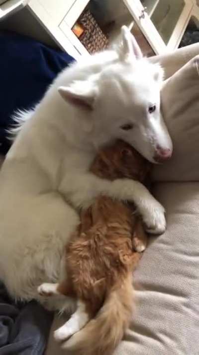 Pure love.