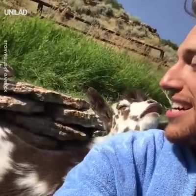 Dude argue with goat