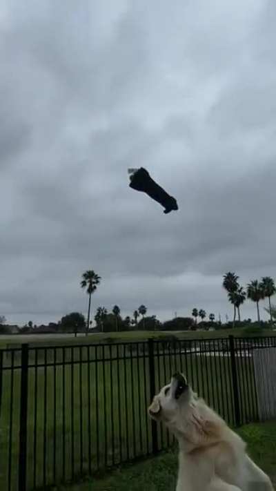 SpaceX Starship attempts first landing catch