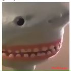 My favorite kind of humour