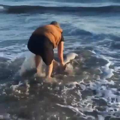 Good samaritan helps baby dolphin back in the water due to being pushed by high ocean winds??